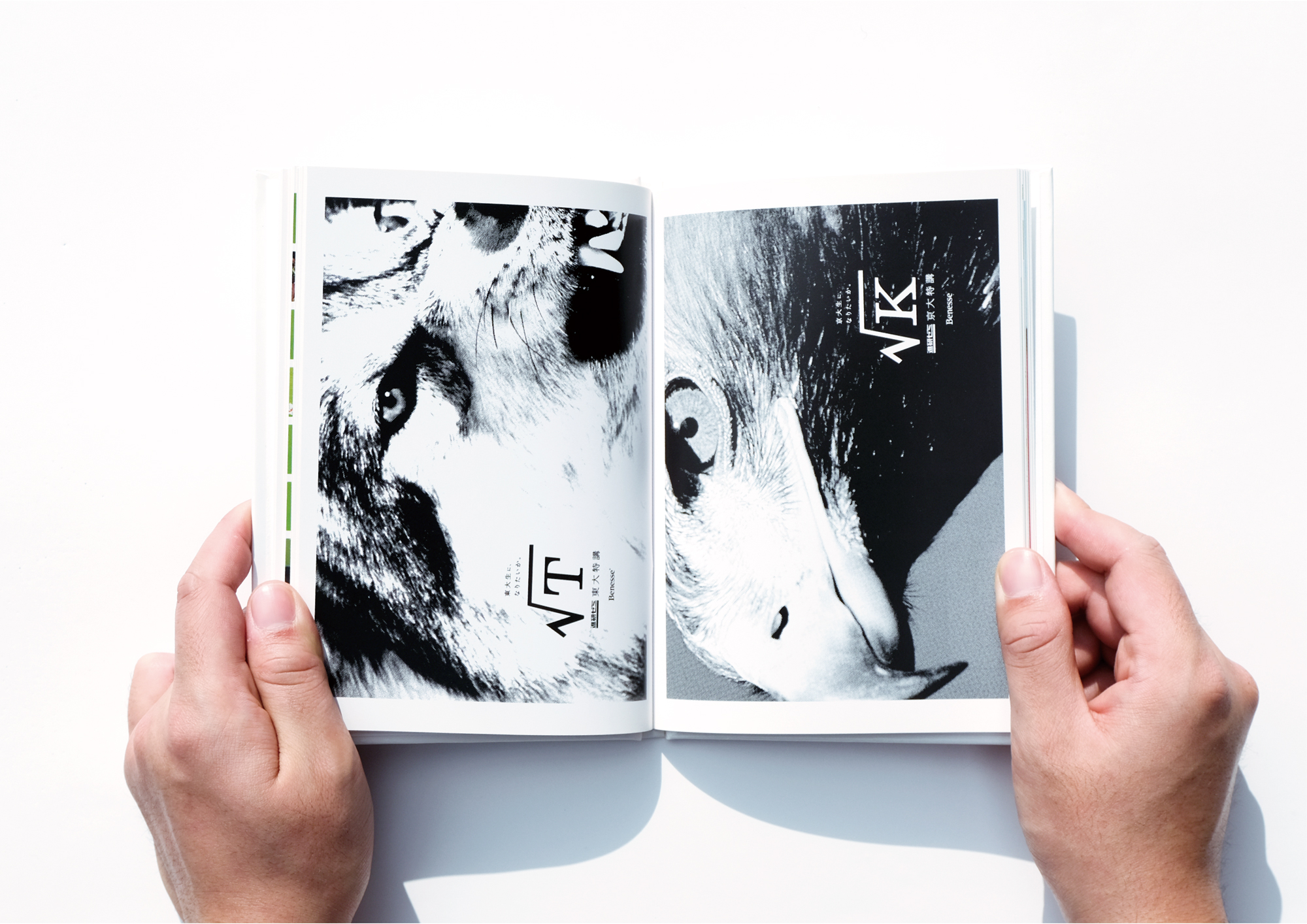 GGG BOOKS | MR_DESIGN